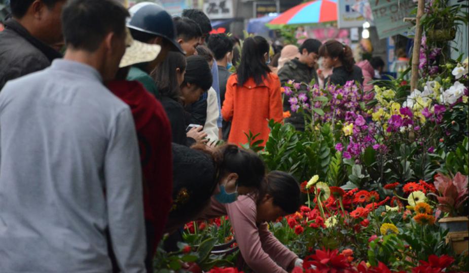 du khách mua hoa chợ Viềng