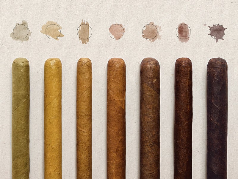 Màu sắc của xì gà