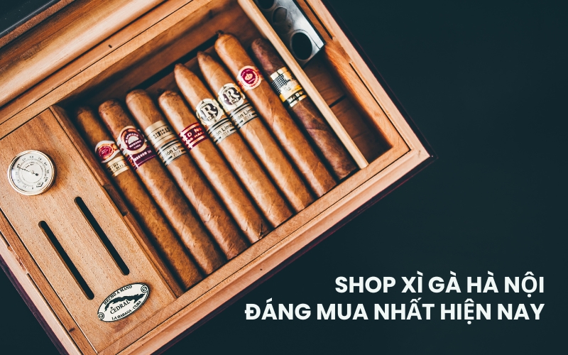 shop xì gà hà nội