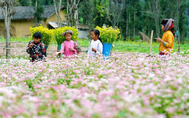 Green Travel Hà Giang