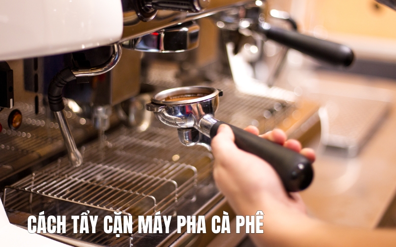 cách tẩy cặn máy pha cà phê